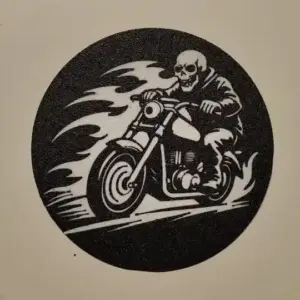 Motorcycle coaster