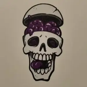 Skull wall art
