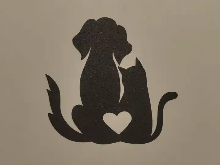 Cat and dog heart
