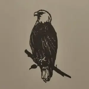 Eagle wall art