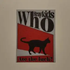 Who straykids poster (wall art)