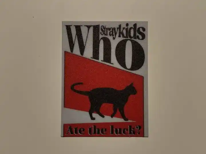 Who straykids poster (wall art)